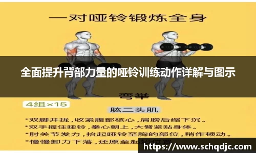 全面提升背部力量的哑铃训练动作详解与图示